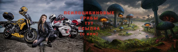 СК Михайловск